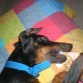 con mi peluchitoo
